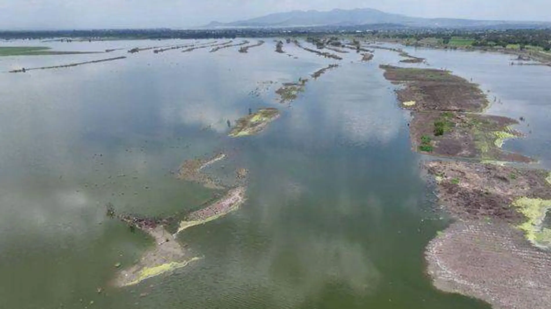 laguna Zumpango 2